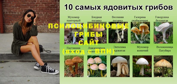 трава Богородицк